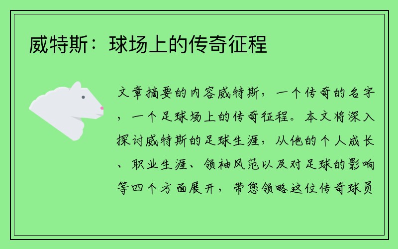 威特斯：球场上的传奇征程